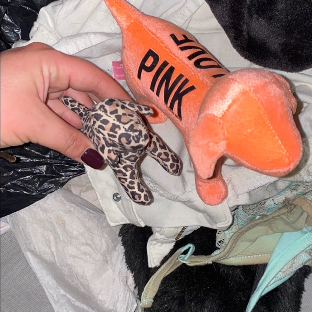 Love pink dogs